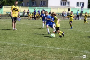 Następne zdjęcie