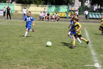 Poprzednie zdjęcie