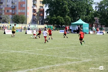Następne zdjęcie