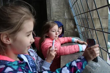 Następne zdjęcie
