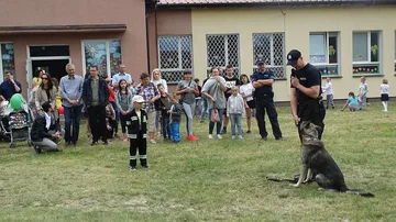 Poprzednie zdjęcie