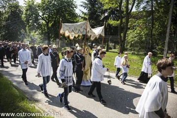 Następne zdjęcie