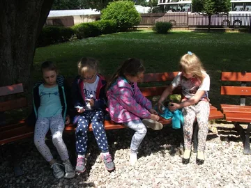 Poprzednie zdjęcie