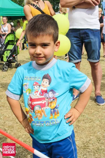 Następne zdjęcie