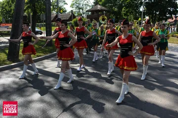 Następne zdjęcie