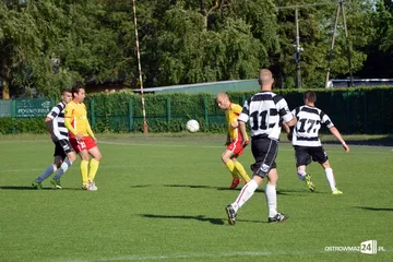 Następne zdjęcie