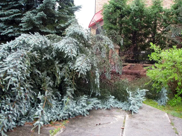 Skutki nawałnic nad powiatem ostrowskim (zdjęcia)