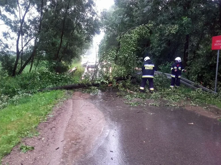 Skutki nawałnic nad powiatem ostrowskim (zdjęcia)