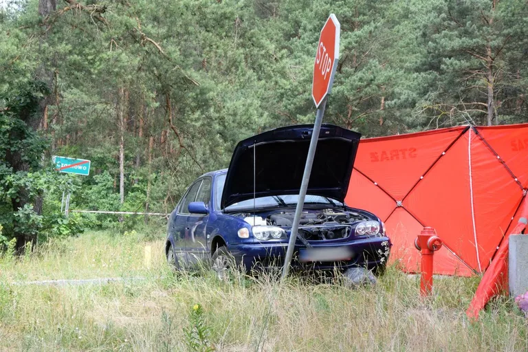 Śmiertelny wypadek na drodze krajowej nr 60 (zdjęcia)