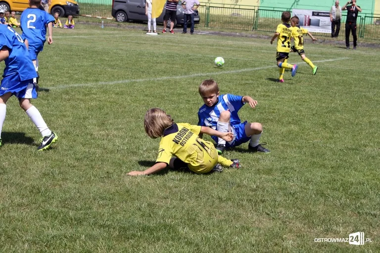 UKS Cup 2017 za nami (zdjęcia)
