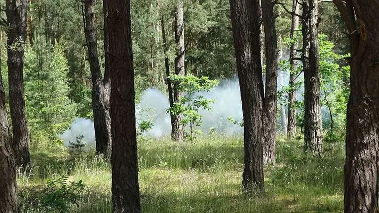 Ucieczka z konwoju i podpalenie lasu w Zuzeli (zdjęcia)
