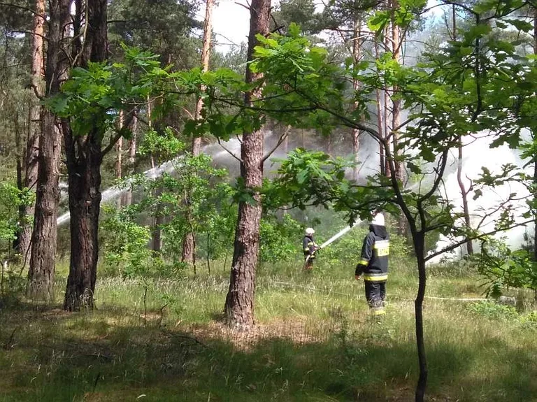 Ucieczka z konwoju i podpalenie lasu w Zuzeli (zdjęcia)