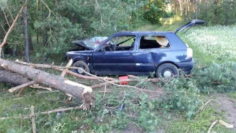 Volkswagen uderzył w drzewo (zdjęcia)