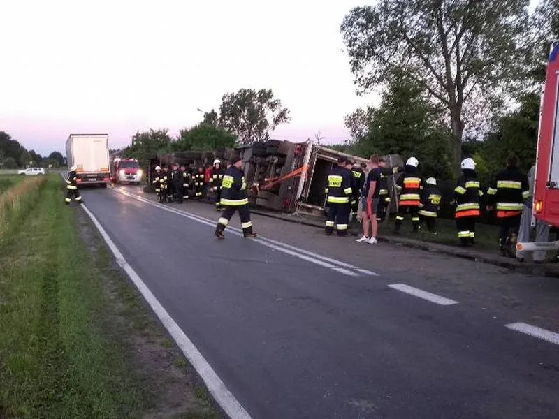 Ciężarówka ze zwierzętami w rowie. Dwie osoby trafiły do szpitala (zdjęcia)