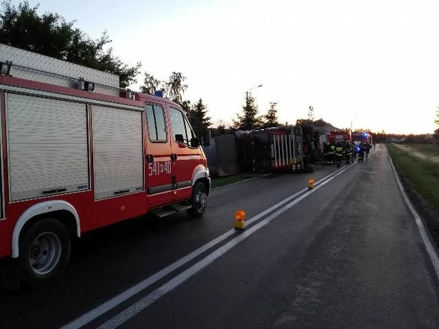 Ciężarówka ze zwierzętami w rowie. Dwie osoby trafiły do szpitala (zdjęcia)