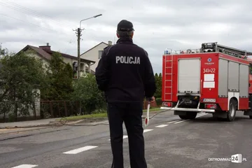 Następne zdjęcie