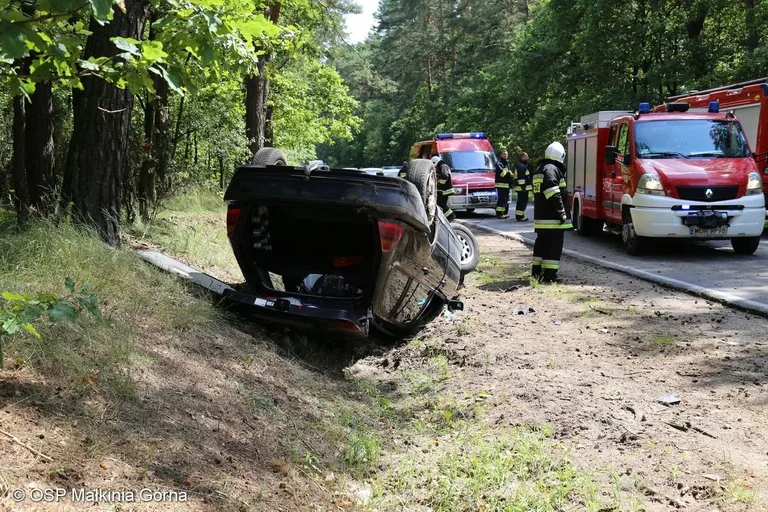 Dachowanie w Niegowcu (zdjęcia)