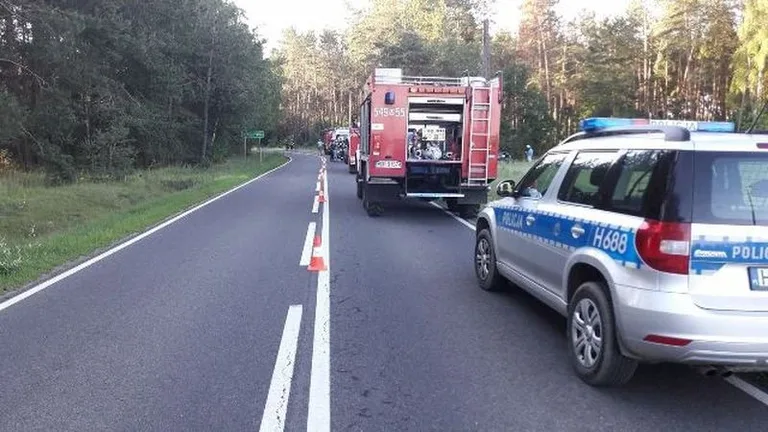 Volkswagen uderzył w drzewo (zdjęcia)