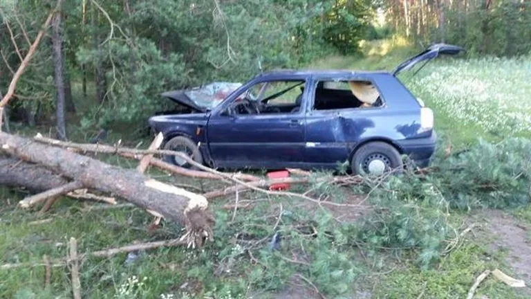 Volkswagen uderzył w drzewo (zdjęcia)