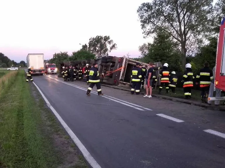 Ciężarówka ze zwierzętami w rowie. Dwie osoby trafiły do szpitala (zdjęcia)
