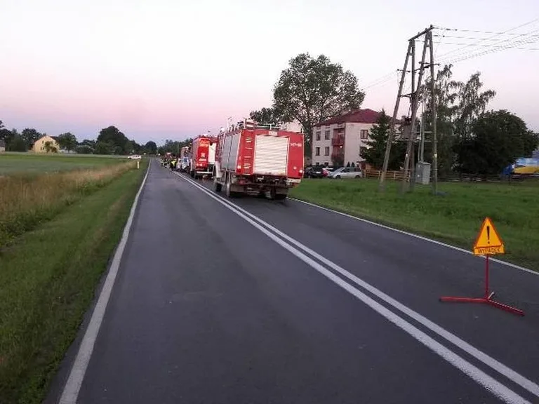 Ciężarówka ze zwierzętami w rowie. Dwie osoby trafiły do szpitala (zdjęcia)