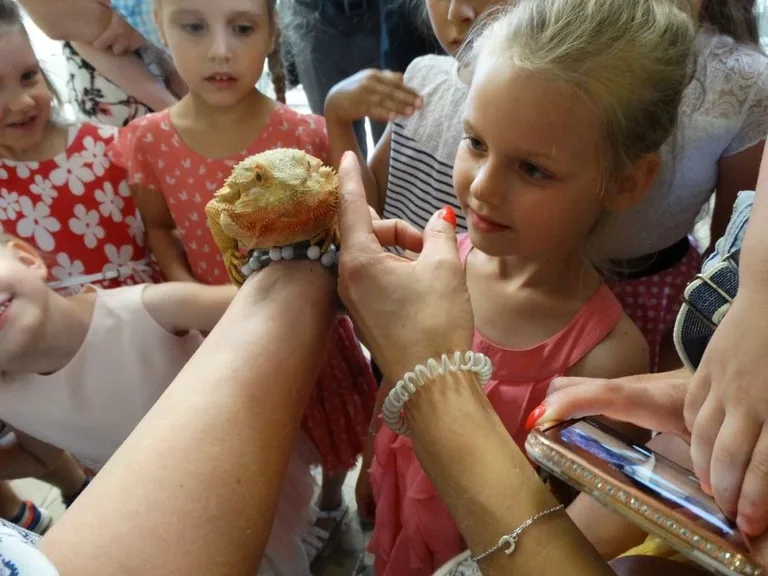 Sukces podopiecznych ostrowskiego przedszkola (zdjęcia)