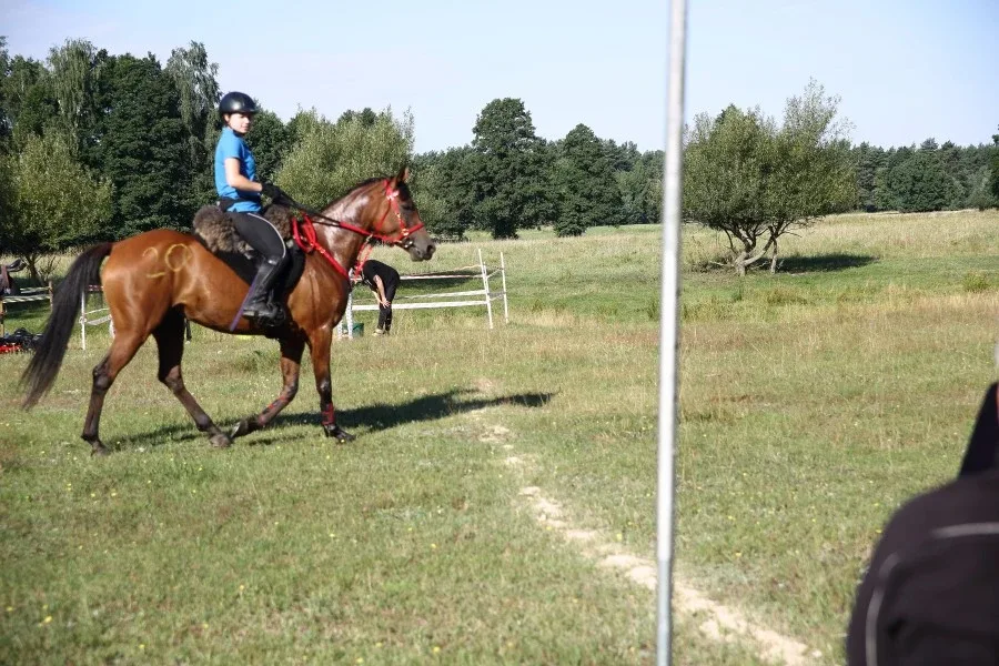 Sportowe Rajdy Konne w Szarłacie (zdjęcia, wideo)