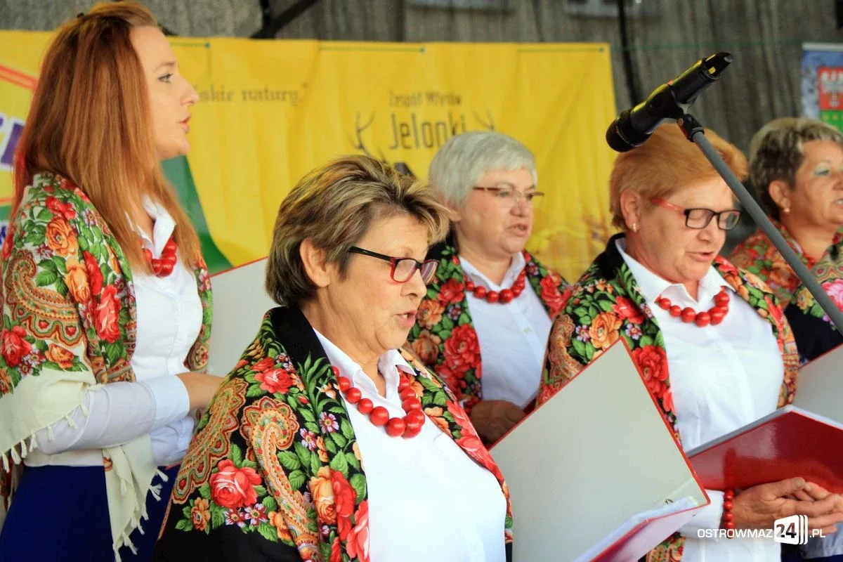 Dożynki Powiatowe 2017 w Zuzeli (zdjęcia)