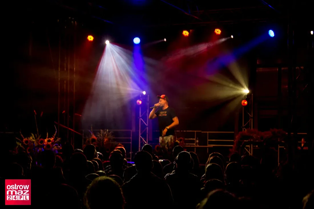 Koncert Power Boya podczas wąsewskich dożynek (zdjęcia, wideo)