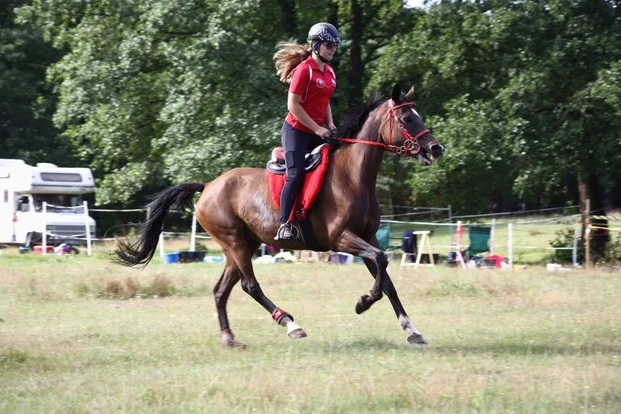 Sportowe Rajdy Konne w Szarłacie (zdjęcia, wideo)