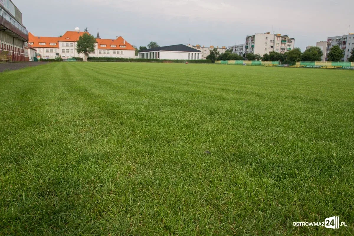 Murawa przy Warchalskiego już po renowacji (zdjęcia)