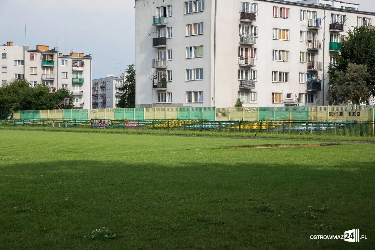 Murawa przy Warchalskiego już po renowacji (zdjęcia)