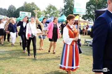 Poprzednie zdjęcie