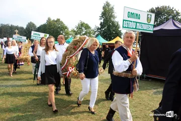 Następne zdjęcie