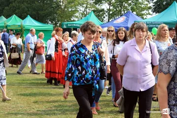 Następne zdjęcie