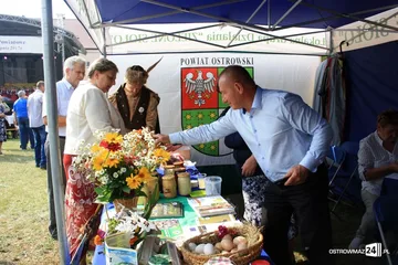 Następne zdjęcie