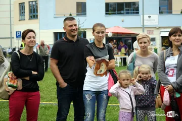 Poprzednie zdjęcie