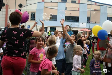 Następne zdjęcie