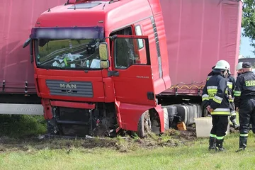 Następne zdjęcie
