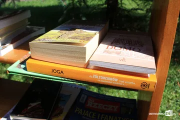 Czytelnia na świeżym powietrzu (zdjęcia)