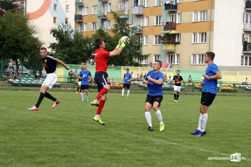 Następne zdjęcie
