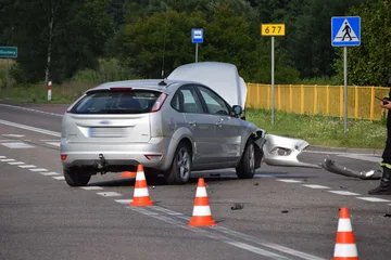Następne zdjęcie
