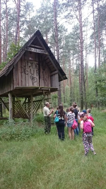 Następne zdjęcie