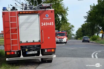 Następne zdjęcie