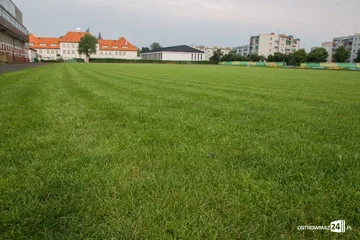 Murawa przy Warchalskiego już po renowacji (zdjęcia)