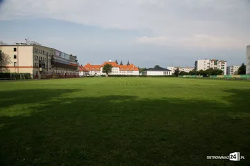 Murawa przy Warchalskiego już po renowacji (zdjęcia)