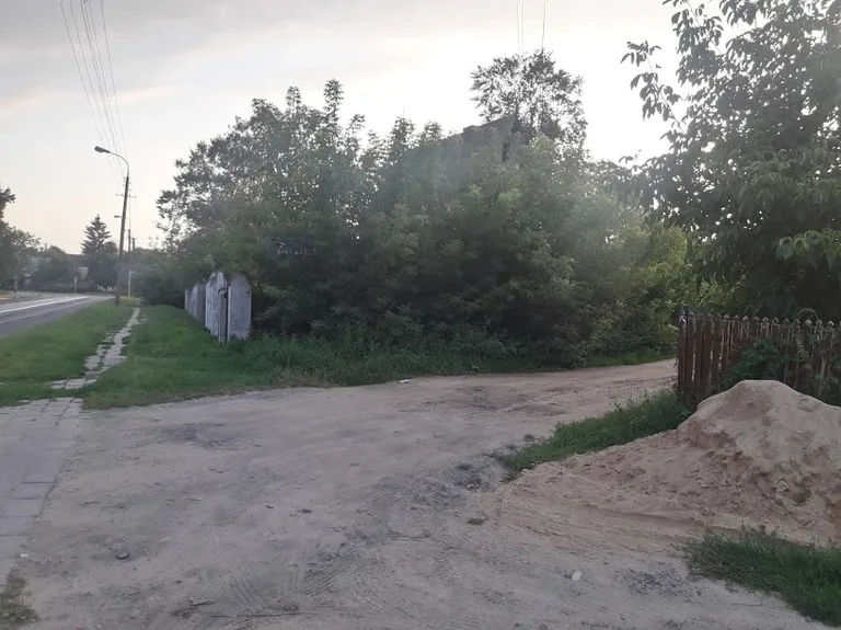 Skrzynka skarg: znak zakazu zasłonięty przez winorośl (zdjęcia)