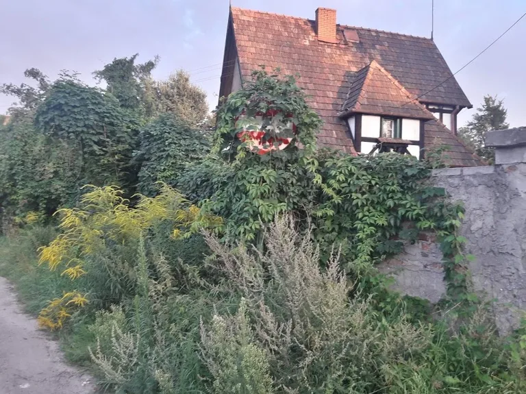 Skrzynka skarg: znak zakazu zasłonięty przez winorośl (zdjęcia)