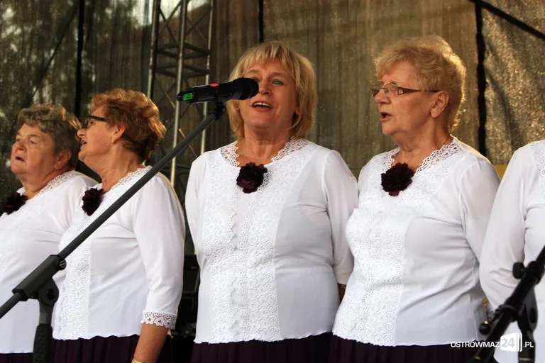 Dożynki Powiatowe 2017 w Zuzeli (zdjęcia)
