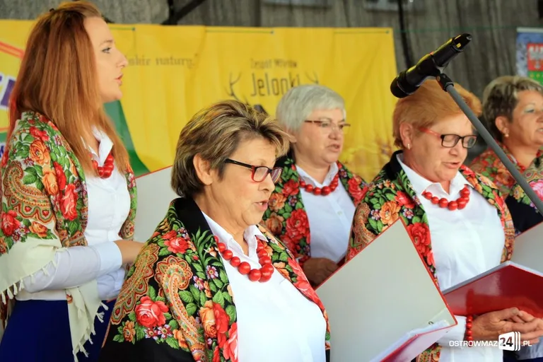Dożynki Powiatowe 2017 w Zuzeli (zdjęcia)